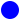 ハンドラベラーオリジナルラベル「青」
