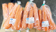 千葉県山武市さんぶ野菜ネットワーク様